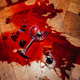 Spilled red wine on wooden floor